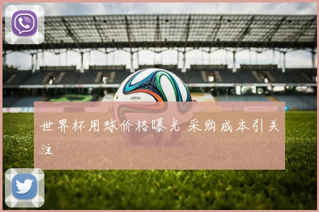 世界杯用球价格曝光 采购成本引关注