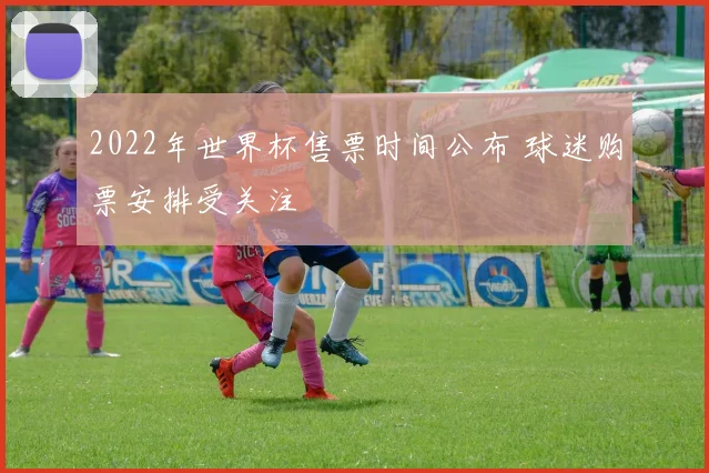 2022年世界杯售票时间公布 球迷购票安排受关注
