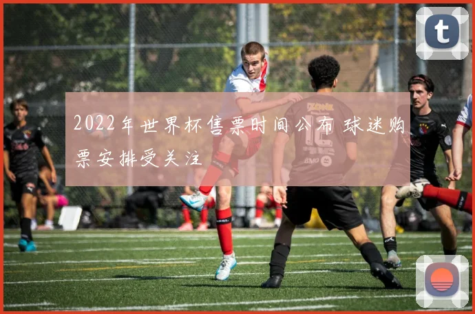 2022年世界杯售票时间公布 球迷购票安排受关注