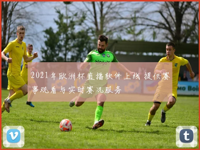 2021年欧洲杯直播软件上线 提供赛事观看与实时赛况服务