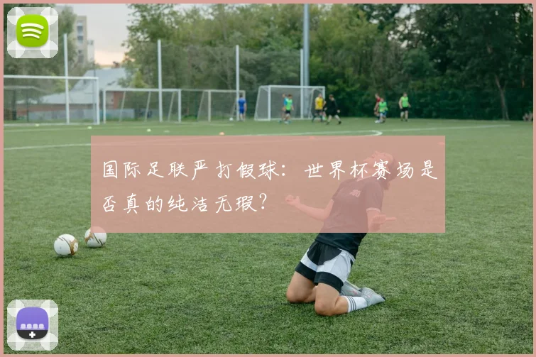 国际足联严打假球：世界杯赛场是否真的纯洁无瑕？