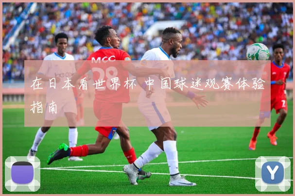 在日本看世界杯 中国球迷观赛体验指南